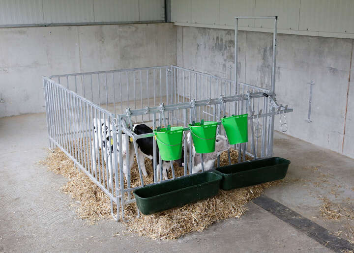 KERBL Modulare Zaunaufstallung Fanggitter